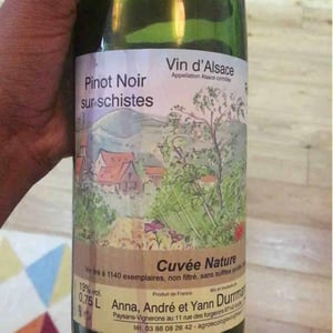 Pinot Noir Sur Schistes - Anna, André & Yann Durrmann - Anna, André & Yann Durrmann 