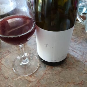Pinot Noir - Weingut Claus Preisinger - claus-preisinger