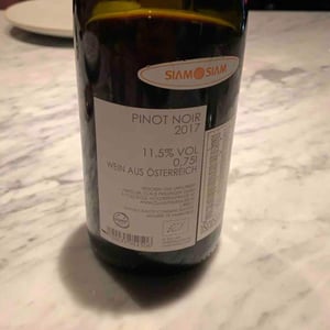 Pinot Noir - Weingut Claus Preisinger - claus-preisinger