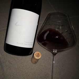 Pinot Noir - Weingut Claus Preisinger - claus-preisinger
