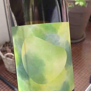 Pinot Sankt Gallen - Liberto Weine - Elia Liberto 