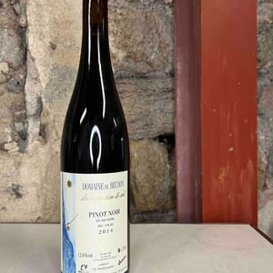 Pinot Noir - Domaine de Beudon - marion-granges-fayss