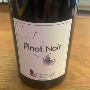 Pinot Noir - Domaine Des Cognettes - stephane-vincent-perraud