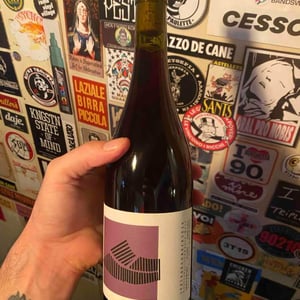 Spätburgunder - Deutscher Landwein Main - sebastiano-civolani