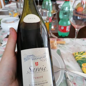 Pinot Noir - Domaine Dupasquier - david-veronique-dupasquier