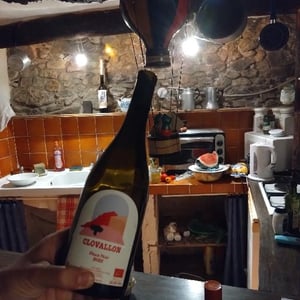 Pinot Noir (new label) - Domaine de Clovallon - Alix Roque -2021