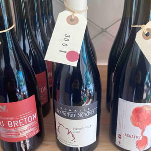 Pinot Noir - Domaine Des Marnes Blanches - pauline-geraud-fromont