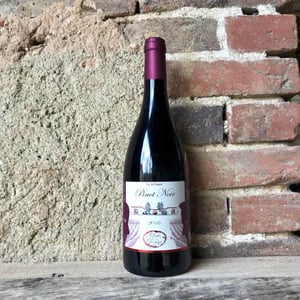 Pinot Noir - Domaine de l'Ocre Rouge - aymeric-marceline-beaufort