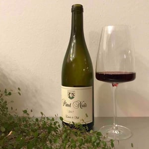 Enderle & Moll - Florian Moll & Max Lecat - Pinot Noir