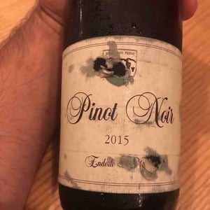 Pinot Noir - Enderle & Moll - florian-moll-max-lecat
