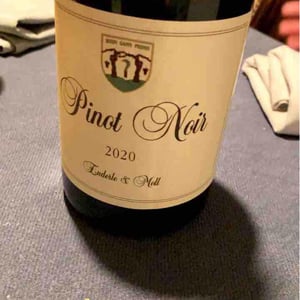 Pinot Noir - Enderle & Moll - Florian Moll & Max Lecat 