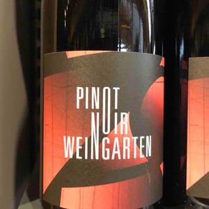 Pinot Noir Weingarten - Kumpf & Meyer - julien-albertus