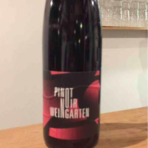 Pinot Noir Weingarten - Kumpf & Meyer - julien-albertus