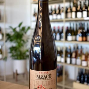 Pinot Noir - Jean-Louis & Éric Kamm - eric-kamm