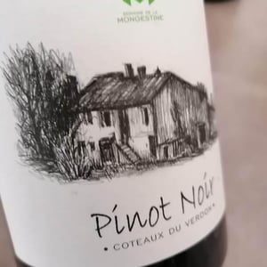 Pinot Noir - Domaine de la Mongestine - maxime-gamard-celine-harry-gozlan