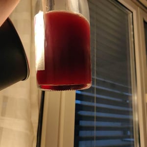 Pinot Noir - Les Vins Du Fab - Fabien Henriot 
