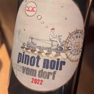 Pinot Noir - Weingut Pittnauer - Gerhard & Brigitte Pittnauer 