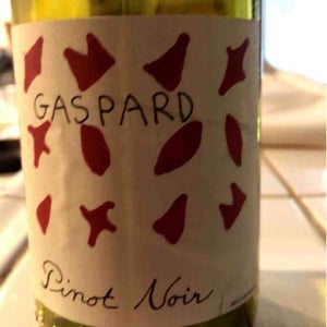 Pinot Noir - Gaspard - jenny-francois-selections