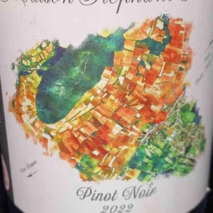 Pinot Noir - Maison Stéphane Saillet - Stéphane Saillet 