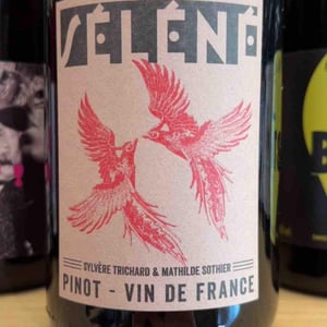 Pinot - Séléné - Sylvère Trichard -2023