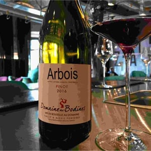 Pinot - Domaine des Bodines - Emilie & Alexis Porteret 