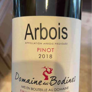 Pinot - Domaine des Bodines - Emilie & Alexis Porteret 