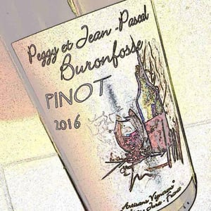 Pinot - Domaine Buronfosse - peggy-jean-pascal-buronfosse