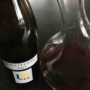 Pinoterie - Domaine Prieuré Roch - henry-frederic-roch-yannick-champ