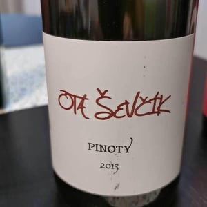 Pinoty - Vinarstvi Ota Ševčík - Ota Ševčík 