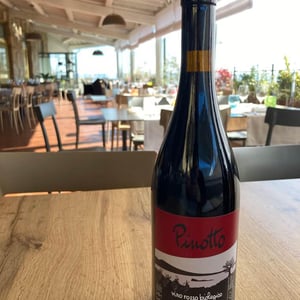 Pinotto - Le Coste - clementine-bouveron-gianmarco-antonuzi -2021