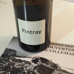 Pintray - Un Saumon Dans la Loire - Marie Thibault & Frantz Saumon 