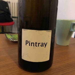 Pintray - Un Saumon Dans la Loire - marie-thibault-frantz-saumon
