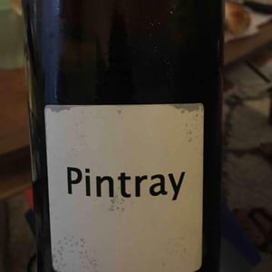 Pintray - Un Saumon Dans la Loire - Marie Thibault & Frantz Saumon 