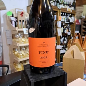 Pinu' - Antichi Vigneti Manca - alessia-e-noemi-manca -2022