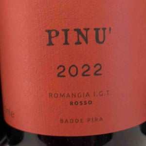 Pinu' - Antichi Vigneti Manca - alessia-e-noemi-manca -2022