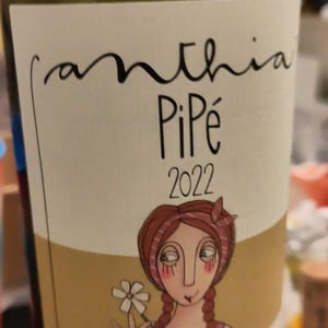 Pipé - Terrazze Singhie - Sara Polo & Mauro Migliavacca -2021