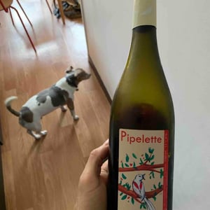 Pipelette - Domaine des Pies Blanches - pierre-pradelle
