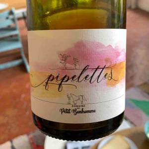 Pipelettes - Domaine du petit bonhomme - Fabien Chanavas 