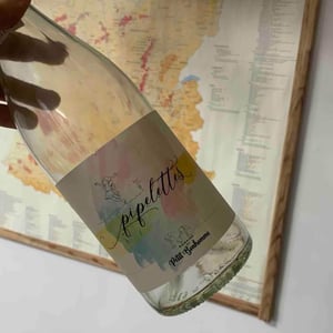 Pipelettes - Domaine du petit bonhomme - Fabien Chanavas 
