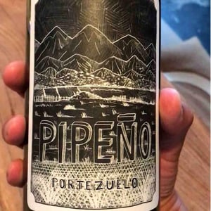 Pipeno - Portezuelo - familia-patricio-martinez