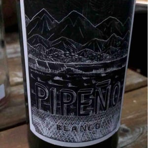 Pipeno - Portezuelo - familia-patricio-martinez