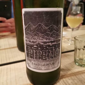 Pipeno - Portezuelo - familia-patricio-martinez