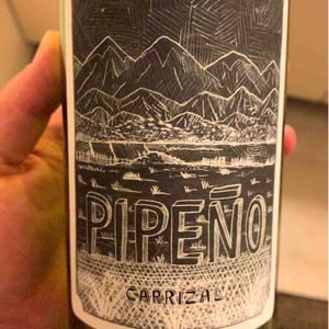 Pipeno - Portezuelo - familia-patricio-martinez