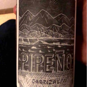 Pipeno - Portezuelo - familia-patricio-martinez