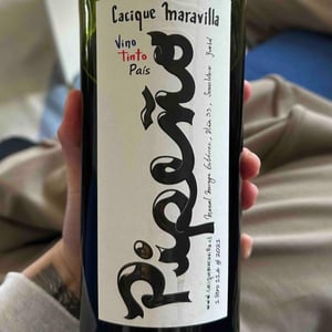 Pipeño - Cacique Maravilla - Manuel Moraga 