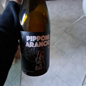 Pippone arancio - Azienda agricola gaudioso - Antonio & Rosa Gaudioso -2022