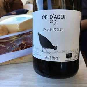 Pique Poule - Opi d'Aquí - Philippe Formentin 