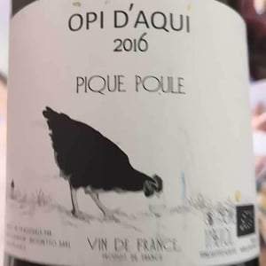 Opi d'Aquí - Philippe Formentin - Pique Poule