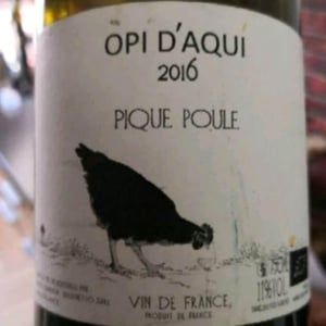 Pique Poule - Opi d'Aquí - Philippe Formentin 
