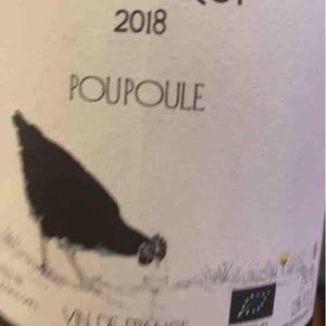 Pique Poule - Opi d'Aquí - philippe-formentin
